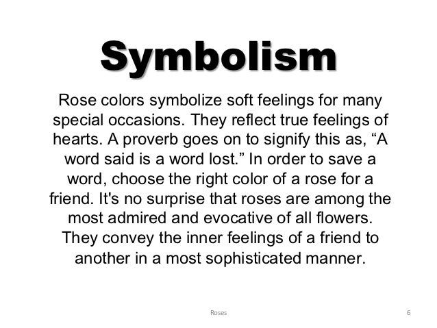 Does A Rose What Symbolise Black Does A Rose What Symbolise Black
